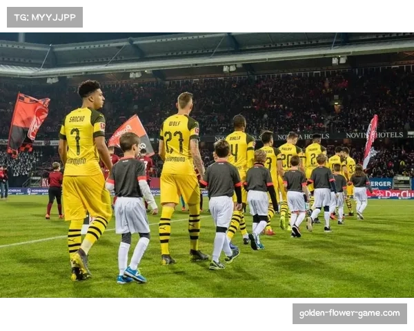 霍芬海姆主场火力凶猛，近10场场均2.6球展现高效输出